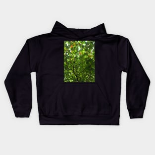 A Roof made of Leaves in Cancun Kids Hoodie